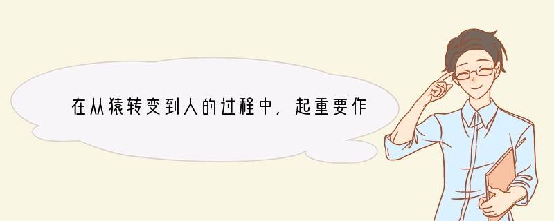 在从猿转变到人的过程中，起重要作用的是 [ ]A、直立行走 B、双手越来越灵活 C、